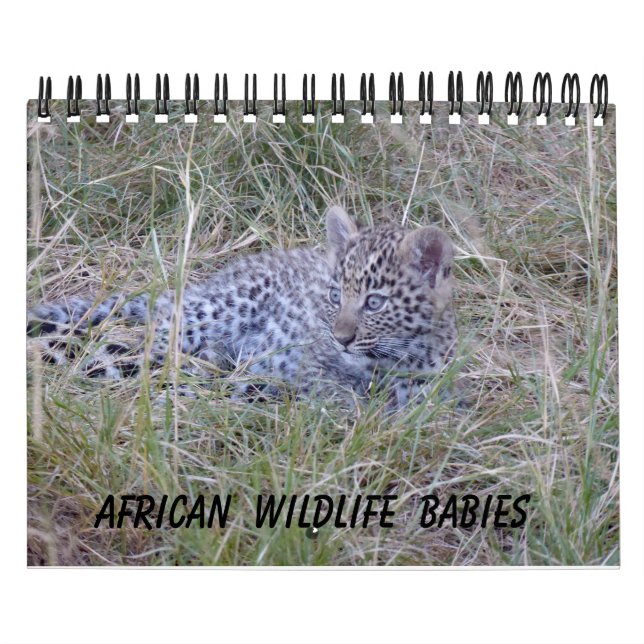 CALENDARIO DE CRÍAS DE FAUNA AFRICANA (Tapa)