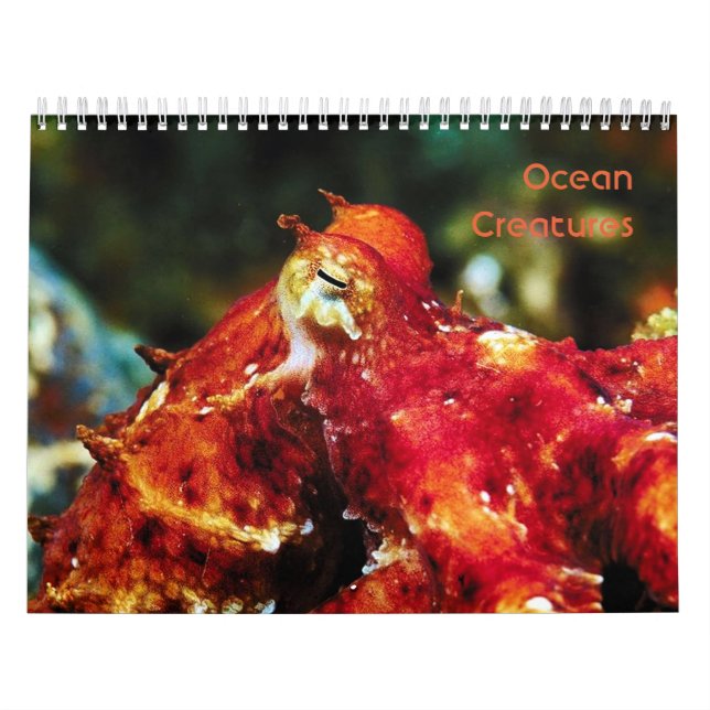 Calendario de criaturas oceánicas (Tapa)