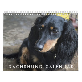Calendario de Dachshund 2016