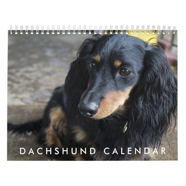 Calendario de Dachshund 2016 (Tapa)