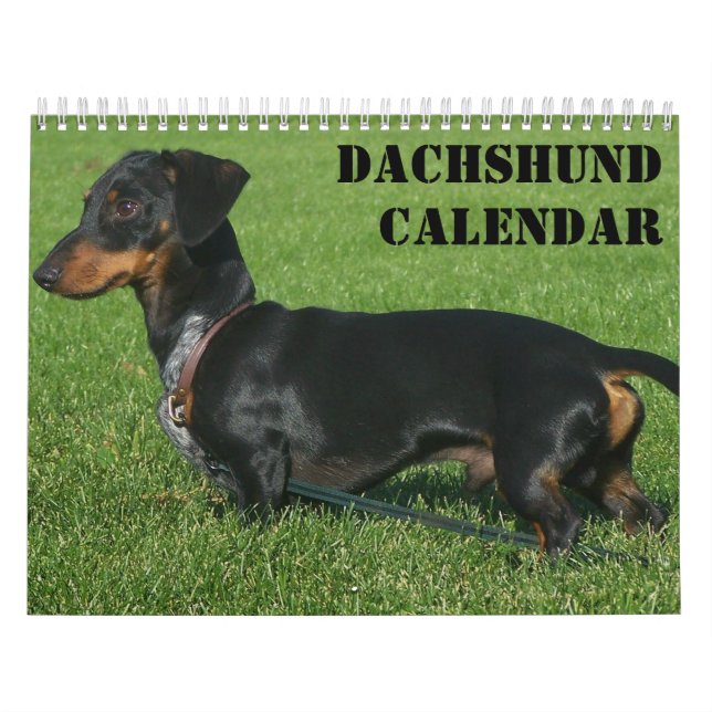 Calendario de Dachshund con sus fotos (Tapa)