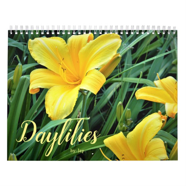 Calendario de Daylilies (Tapa)