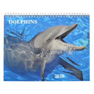 Calendario de delfines en botella