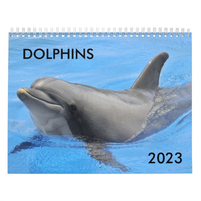 Calendario de delfines en botella (Tapa)