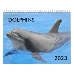 Calendario de delfines en botella