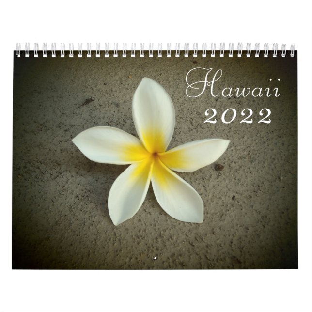 Calendario de destino escénico de Hawaii 2022 (Tapa)