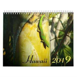 Calendario de destinos panorámicos de Hawái 2019