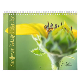 Calendario de detalles del girasol