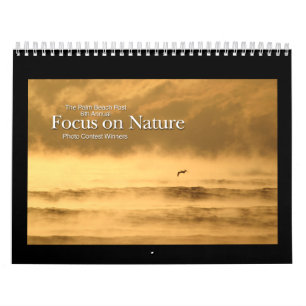 calendario de doce meses de los ganadores