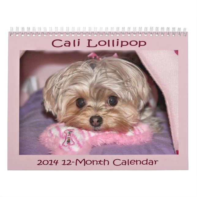 Calendario de doce meses del Lollipop 2014 de Cali (Tapa)