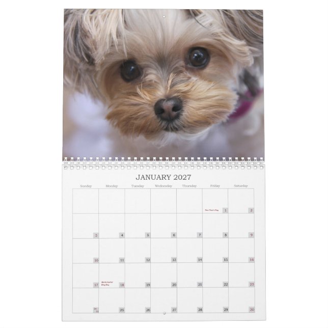 Calendario de doce meses del Lollipop 2015 de Cali (Jan 2027)