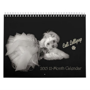 Calendario de doce meses del Lollipop 2015 de Cali