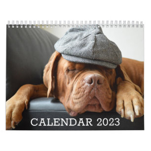Calendario de Dog Lover