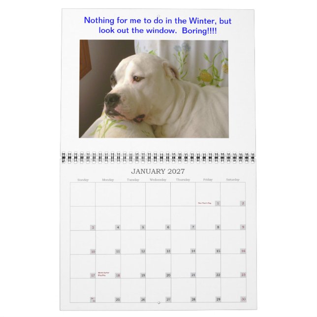 Calendario de Dogo (Jan 2027)