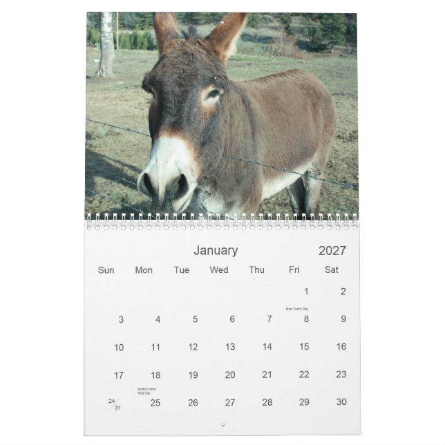 Calendario de Donkey Oscuro de 24 meses (Jan 2027)
