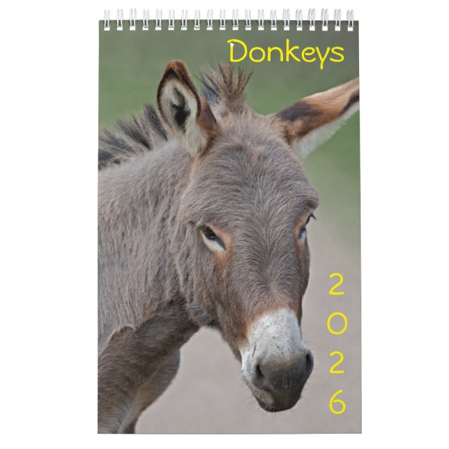 Calendario de Donkeys (Tapa)