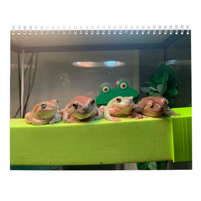 Calendario de dos ranas verdes 2023 (Reverso)