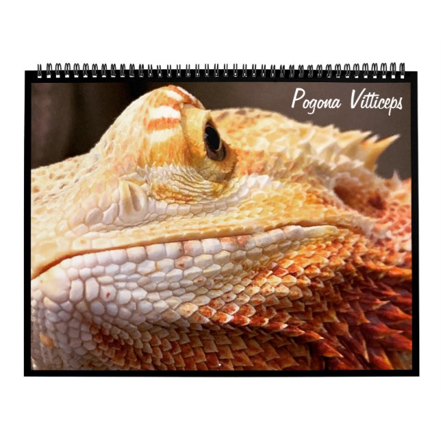 Calendario de dragón con barba de pogona Vitticeps (Tapa)