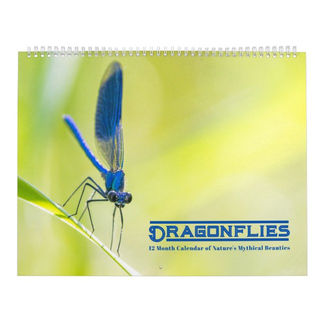 Calendario de Dragonflies (Tapa)