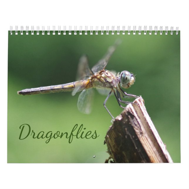 Calendario de Dragonflies (Tapa)