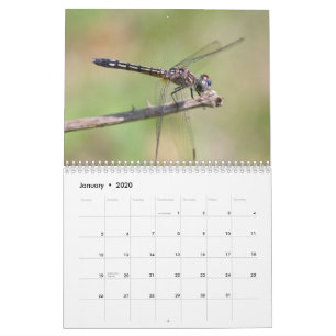 Calendario de Dragonflies
