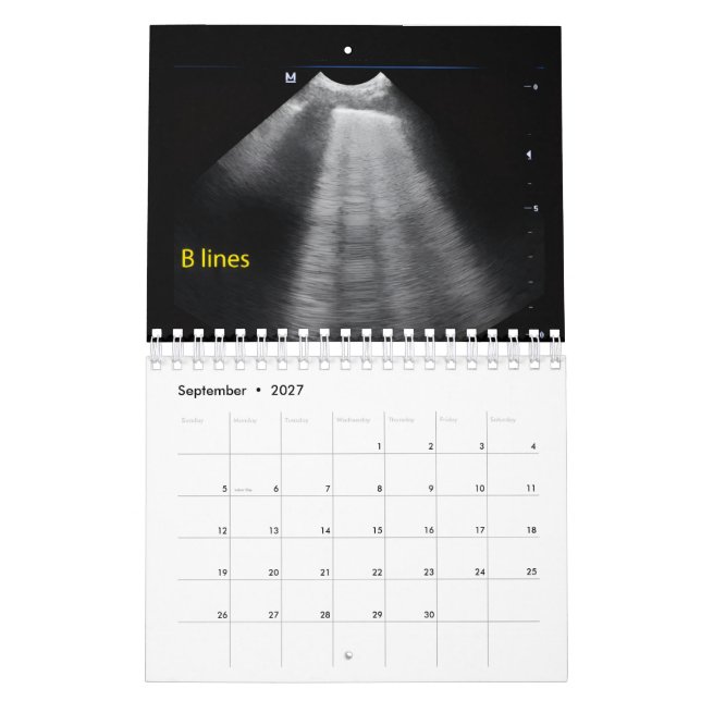 Calendario de Ecografía Veterinaria (Sep 2027)