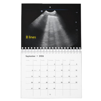 Calendario de Ecografía Veterinaria