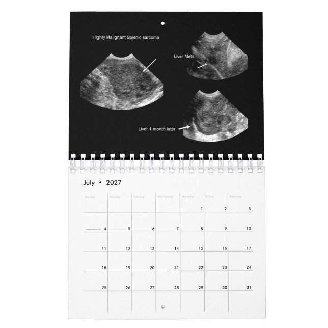 Calendario de Ecografía Veterinaria 2026 (Jul 2027)