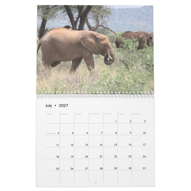 Calendario de elefantes (Jul 2027)