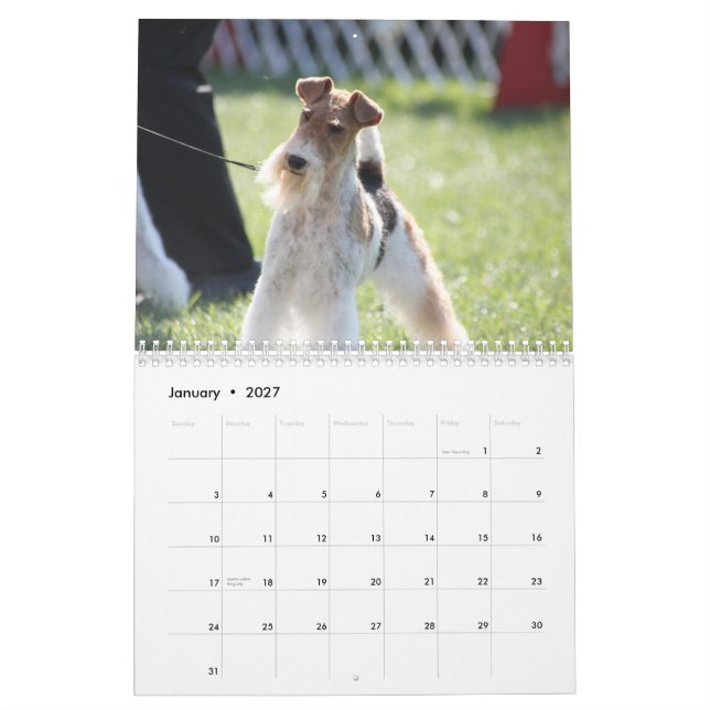 Calendario de Eliza (Jan 2027)