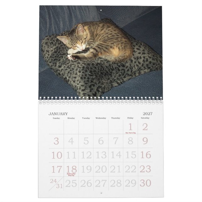 Calendario de Emma (Jan 2027)