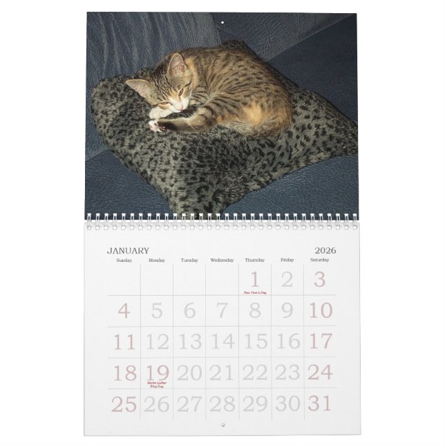 Calendario de Emma (Jan 2026)