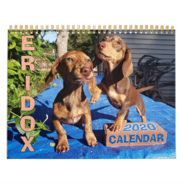 Calendario de Eridox Dachshunds 2020