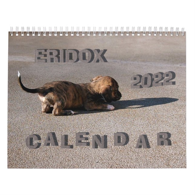 Calendario de Eridox Dachshunds 2022 (Tapa)