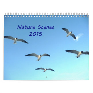 Calendario de Escenas Naturales 2015