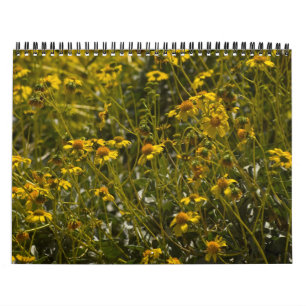 Calendario de Escrituras de Flores Silvestres
