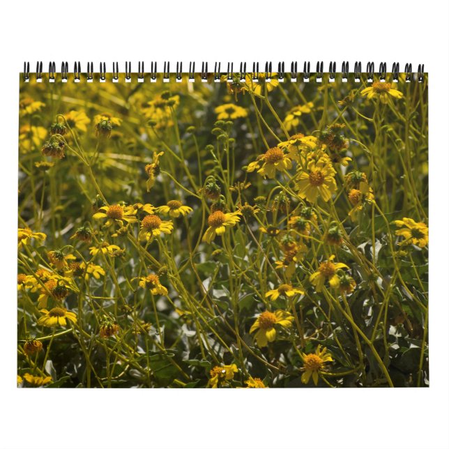 Calendario de Escrituras de Flores Silvestres 2014 (Tapa)