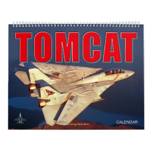 Calendario de F-14 TOMCAT "SWING WING"