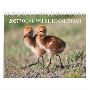 Calendario de fauna joven 2027