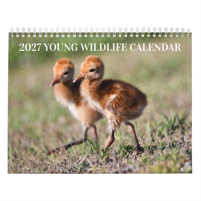 Calendario de fauna joven 2027 (Tapa)