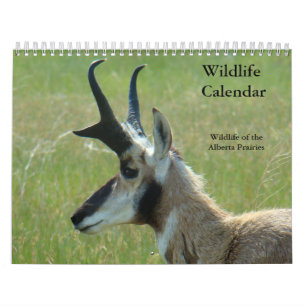 Calendario de fauna y flora C14