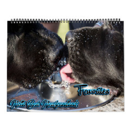 Calendario de favoritos de fotos de notar oso