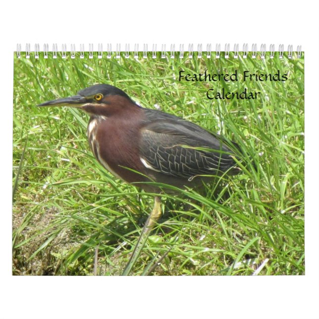 Calendario de Feathered Friends 2013 - Edición pri (Tapa)