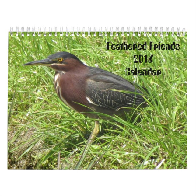 Calendario de Feathered Friends 2016 (Encore) (Tapa)