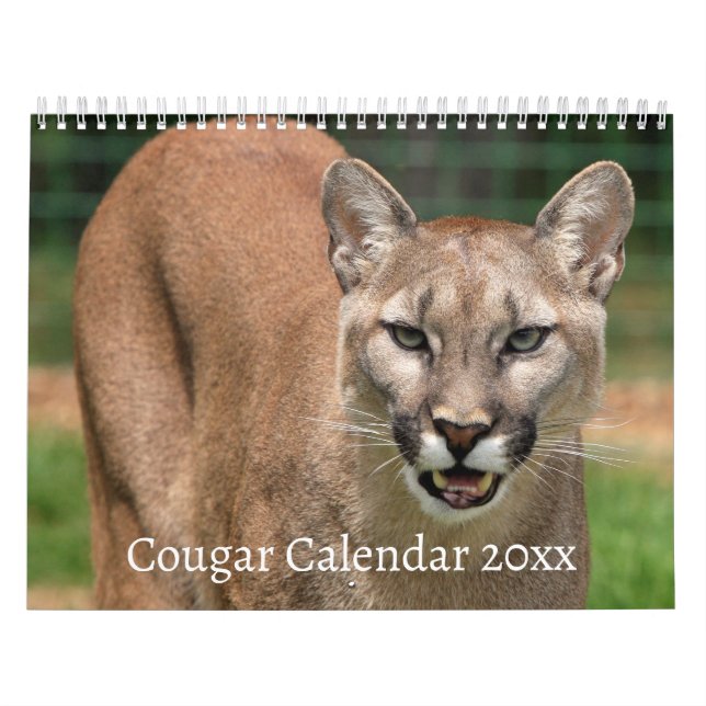 Calendario de felinos silvestres de Cougar (Tapa)
