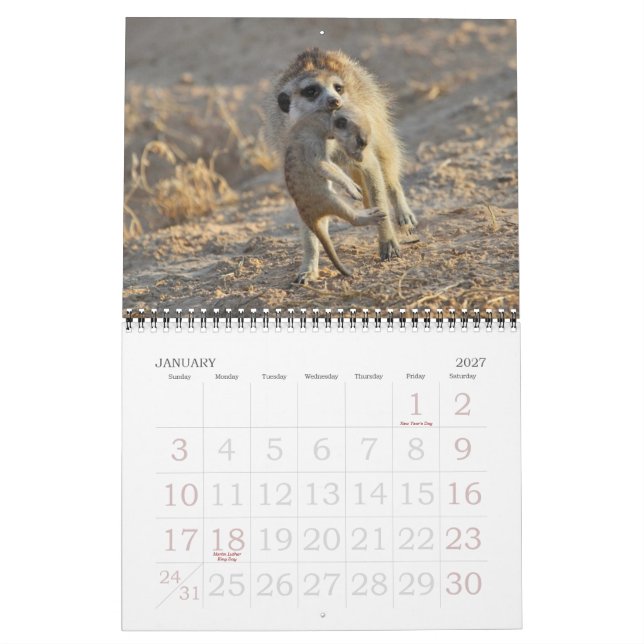 Calendario de FKMP Meerkats 2013 (Jan 2027)