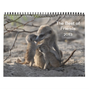 Calendario de FKMP Meerkats 2013