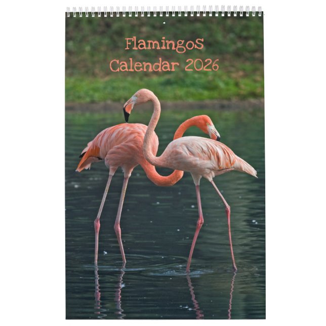 Calendario de flamencos (Tapa)