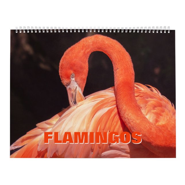 Calendario de flamencos (Tapa)