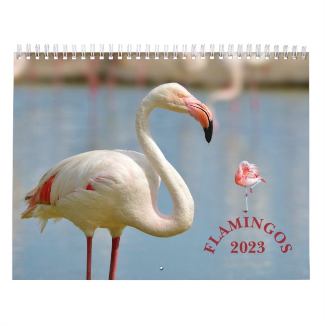 Calendario de flamencos (Tapa)